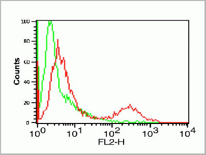 product-image-AAA10941_FCM7.jpg