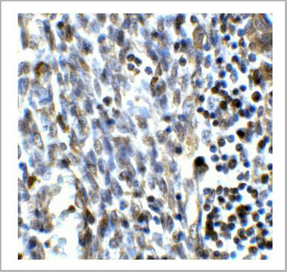 product-image-AAA10972_IHC7.jpg