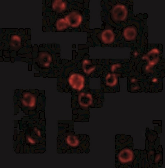 product-image-AAA11009_FCM6.gif