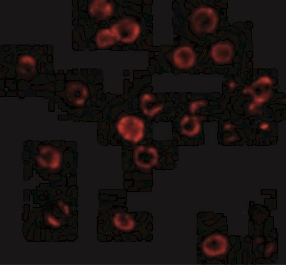 product-image-AAA11010_FCM6.gif