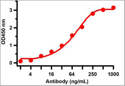 product-image-AAA11029_ELISA2.jpg