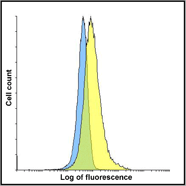 product-image-AAA11052_FCM6.gif