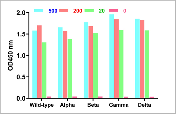 product-image-AAA11055_ELISA3.jpg