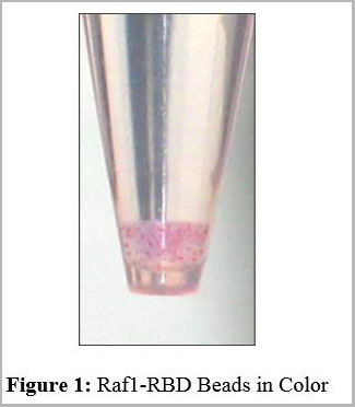 product-image-AAA11433_APP.jpg