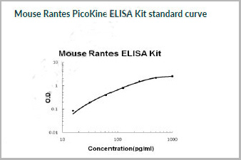 product-image-AAA11562_SC.jpg