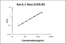product-image-AAA11564_SC.jpg