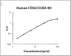 product-image-AAA11588_SC.jpg