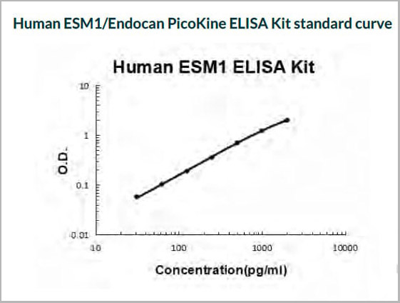 product-image-AAA11609_SC.jpg