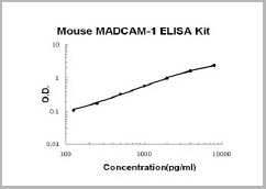 product-image-AAA11622_SC.jpg