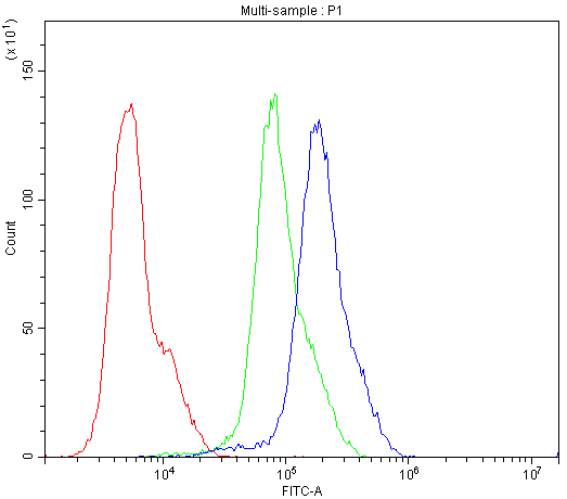 product-image-AAA11633_FCM6.jpg