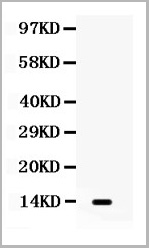 product-image-AAA11645_WB.jpg