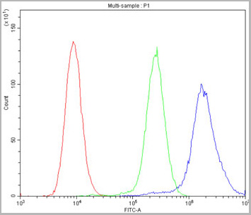 product-image-AAA11652_FCM5.jpg