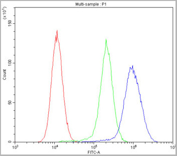 product-image-AAA11652_FCM6.jpg