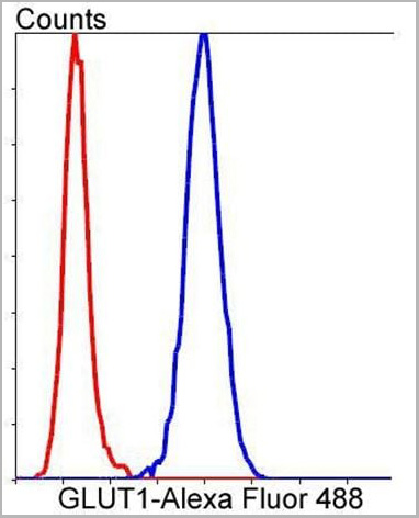 product-image-AAA11692_FCM4.jpg