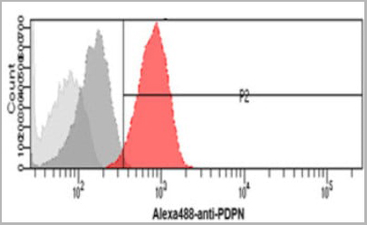 product-image-AAA11728_FCM2.jpg