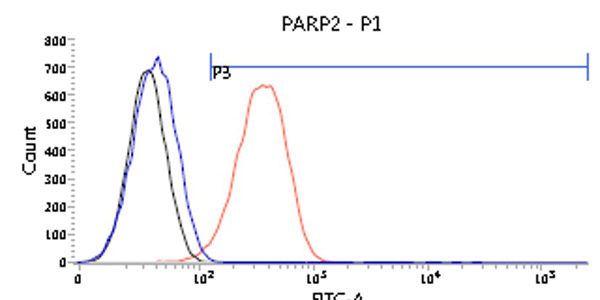 product-image-AAA11732_FCM4.jpg