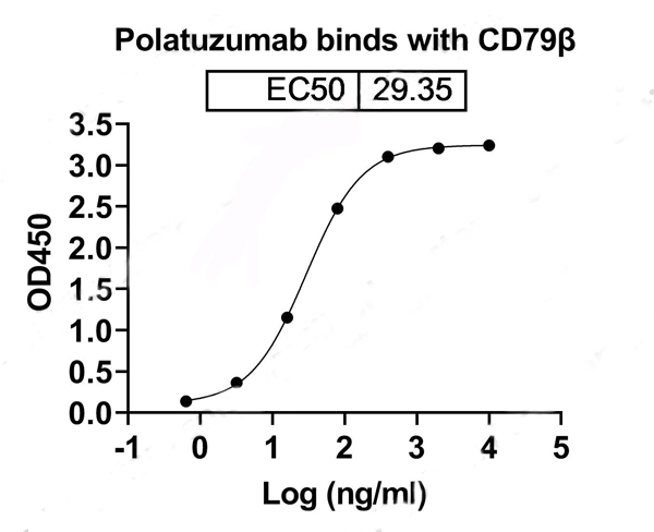 product-image-AAA120080_BIOACTIVITY15.jpg