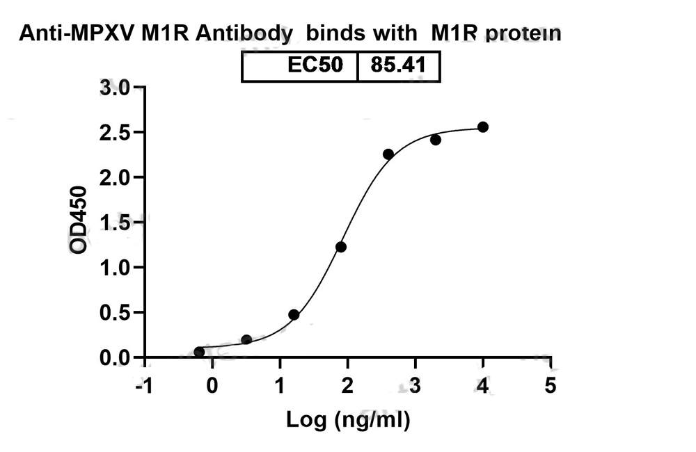 product-image-AAA120193_BIOACTIVITY11.jpg
