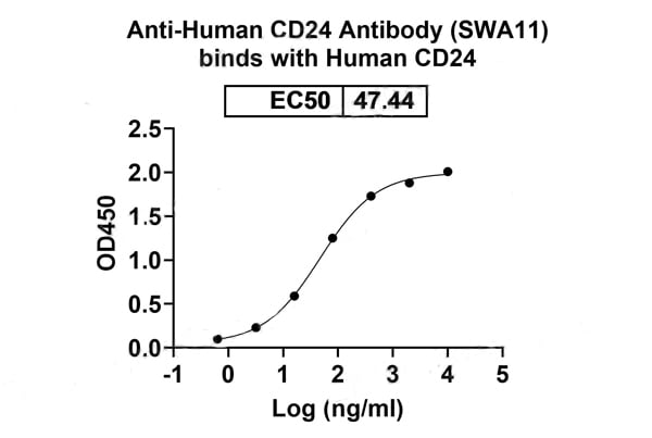 product-image-AAA120466_BIOACTIVITY11.jpg