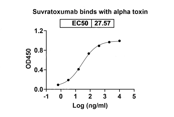 product-image-AAA120535_BIOACTIVITY11.jpg