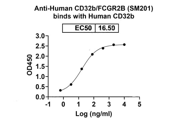 product-image-AAA120573_BIOACTIVITY13.jpg
