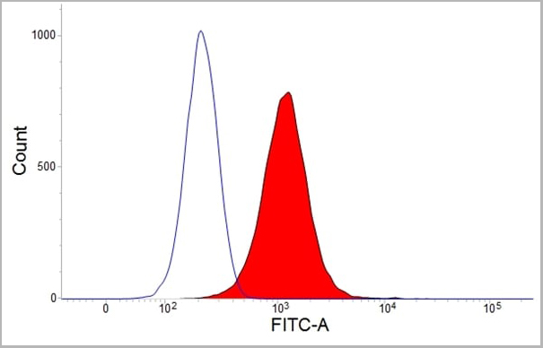 product-image-AAA12252_FCM3.jpg