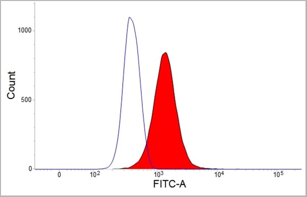 product-image-AAA12252_FCM5.jpg