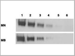 product-image-AAA12374_WB3.jpg