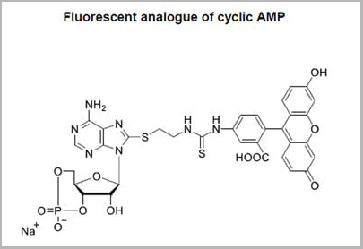 product-image-AAA12382_STRUCTURE.jpg