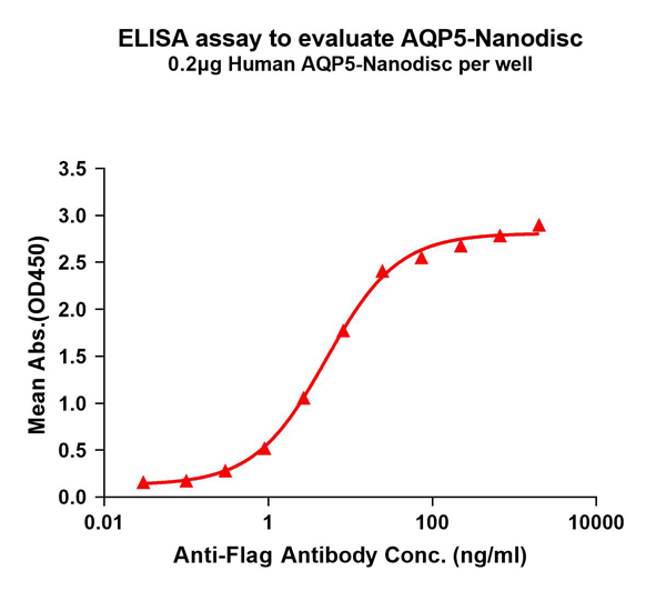 product-image-AAA129475_ELISA15.jpg