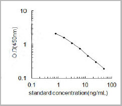 product-image-AAA13304_SC.jpg