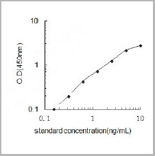 product-image-AAA13345_SC.jpg
