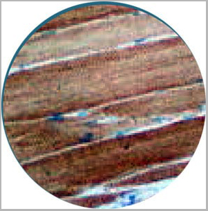 product-image-AAA13553_IHC4.jpg