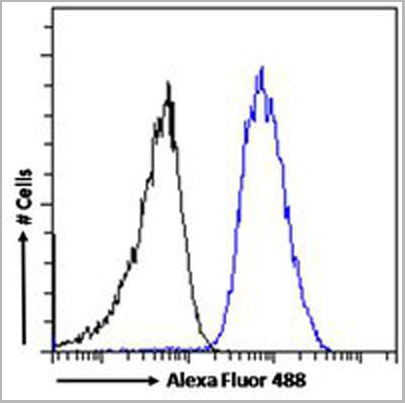 product-image-AAA13649_FCM4.jpg