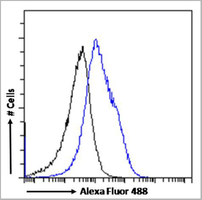 product-image-AAA13652_FCM9.jpg