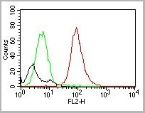 product-image-AAA13803_FCM5.jpg
