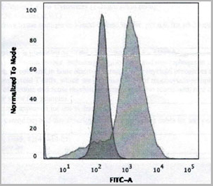 product-image-AAA13807_FCM5.jpg