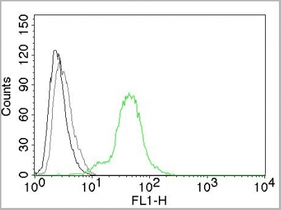 product-image-AAA13814_FCM6.jpg
