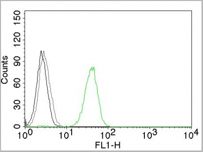 product-image-AAA13818_FCM5.jpg
