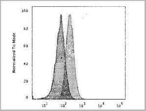 product-image-AAA13821_FCM2.jpg