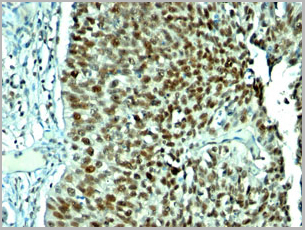 product-image-AAA13823_IHC5.jpg