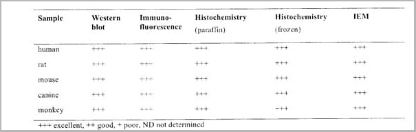 product-image-AAA13859_REACTIVITY.jpg