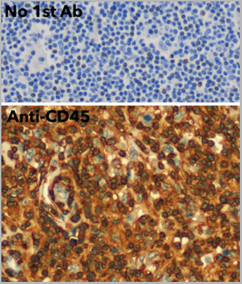 product-image-AAA13860_IHC5.jpg