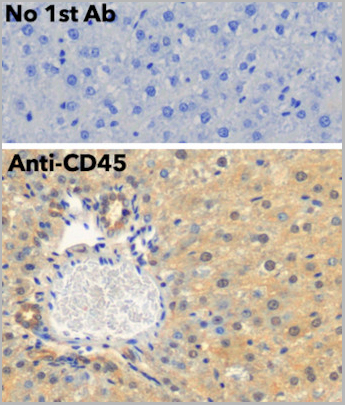 product-image-AAA13860_IHC6.jpg