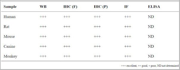 product-image-AAA13861_REACTIVITY.jpg