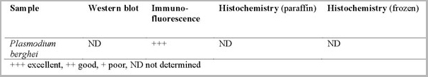 product-image-AAA13862_REACTIVITY.jpg