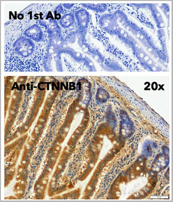 product-image-AAA13863_IHC4.jpg