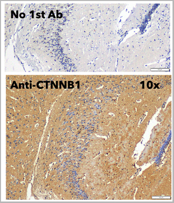 product-image-AAA13863_IHC6.jpg