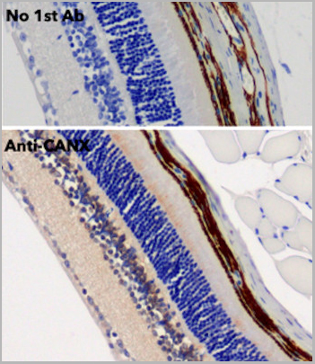 product-image-AAA13872_IHC6.jpg