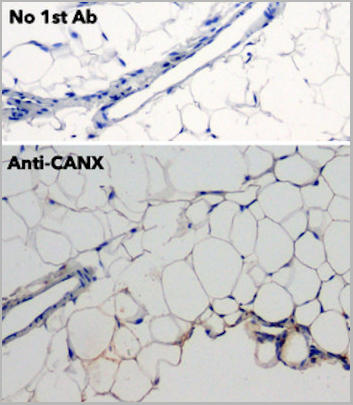 product-image-AAA13872_IHC7.jpg